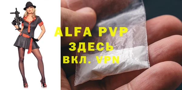 apvp Белокуриха
